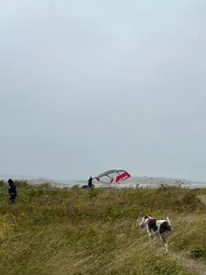 Les dunes de Sainte-Marguerite - Landéda - photo 3