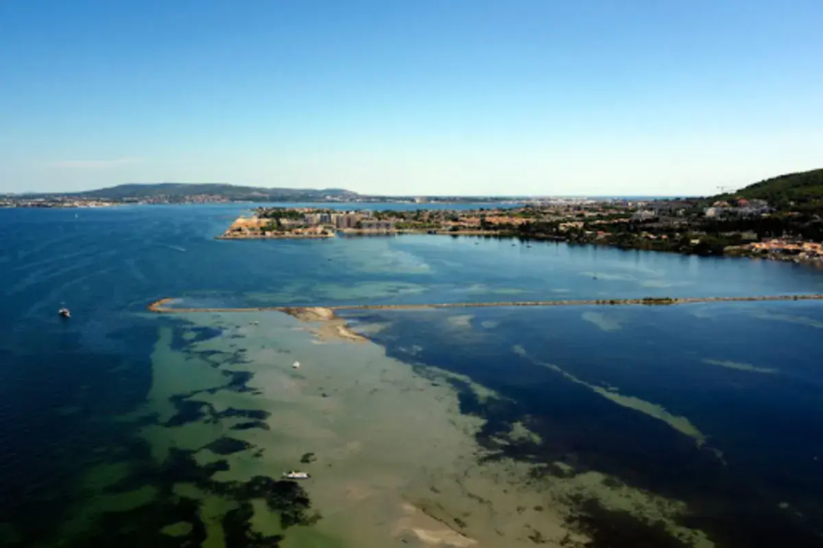 Spot de Pont Levis in Sète