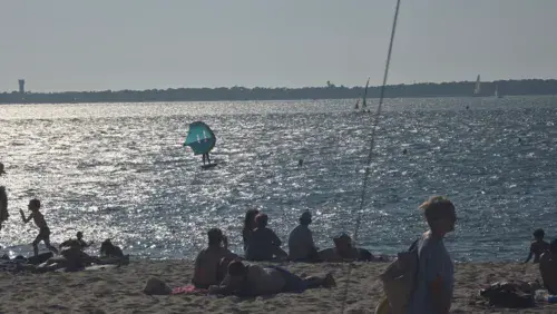Bassin d Arcachon | Arbousiers - photo 1
