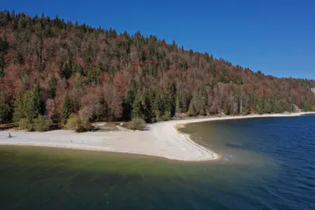 Lac de Joux - La pointe de Sable - photo 1