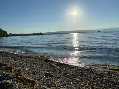 Tolochenaz - Shooting Range - photo 2