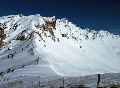 Col de cou - photo 1