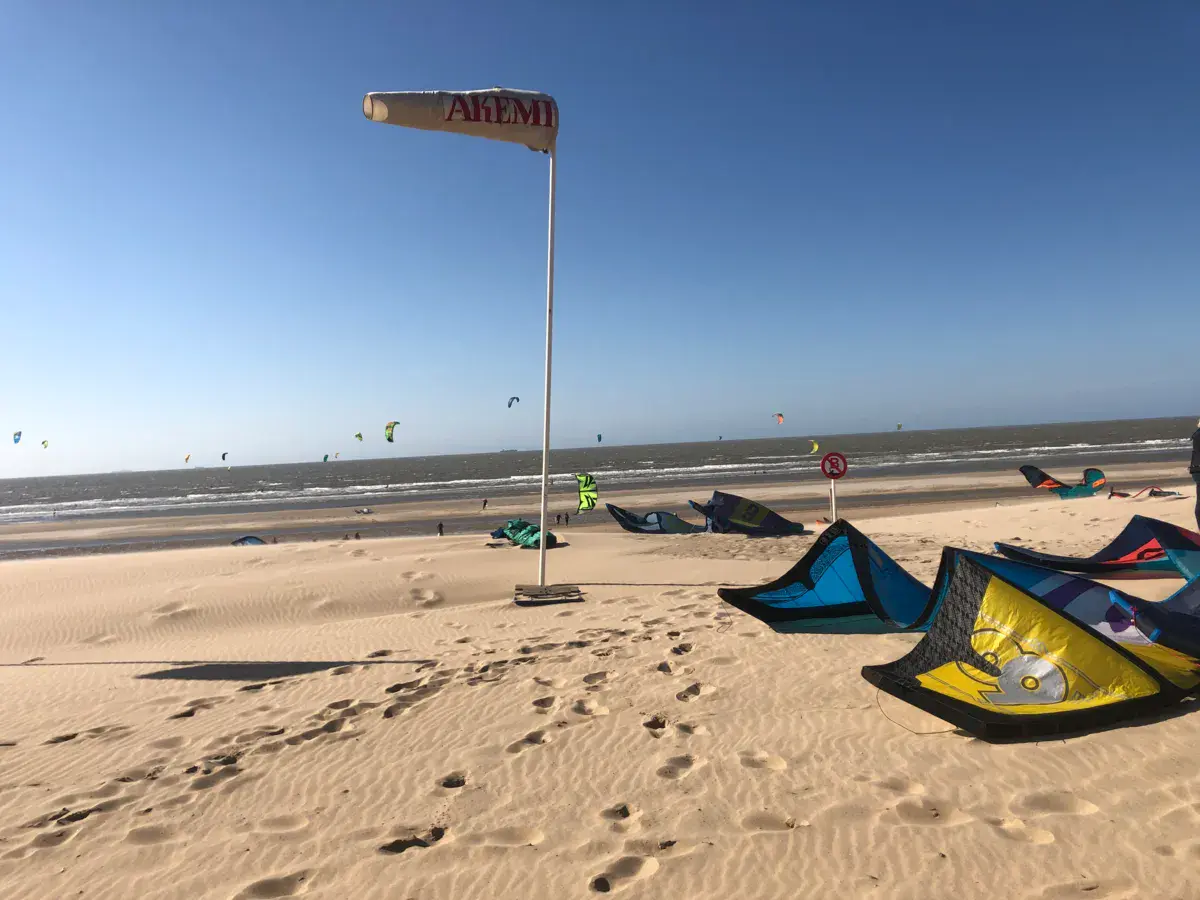 Spot de de haan | le coq