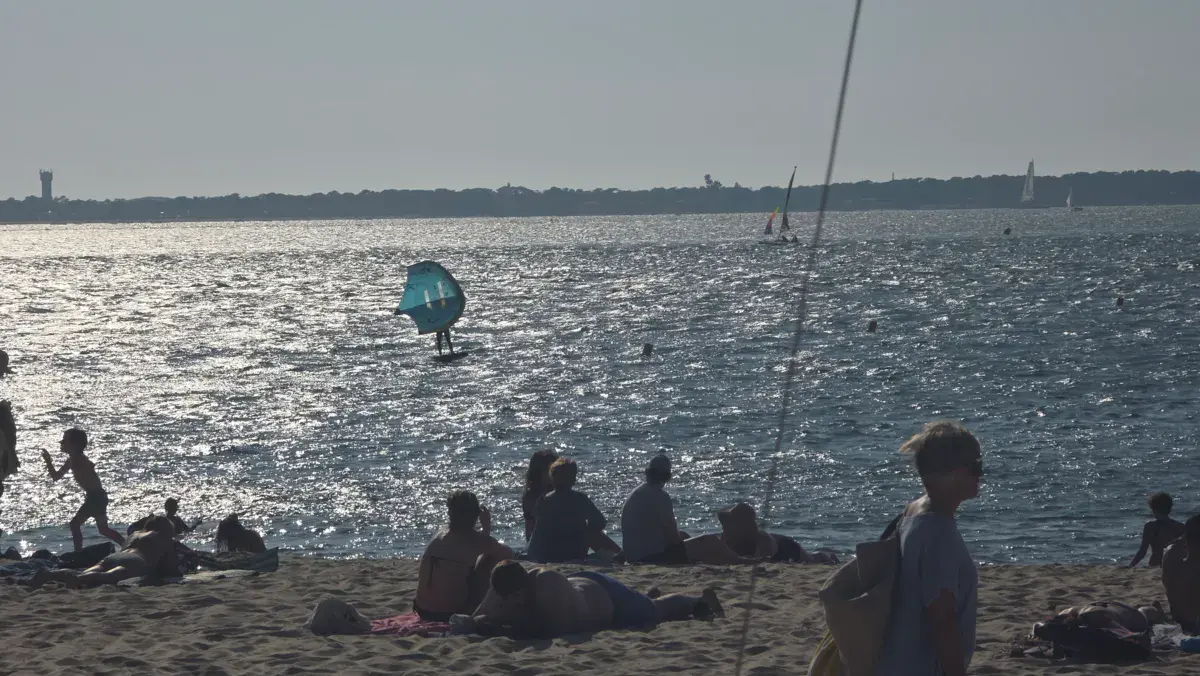 Spot de Bassin d Arcachon | Arbousiers