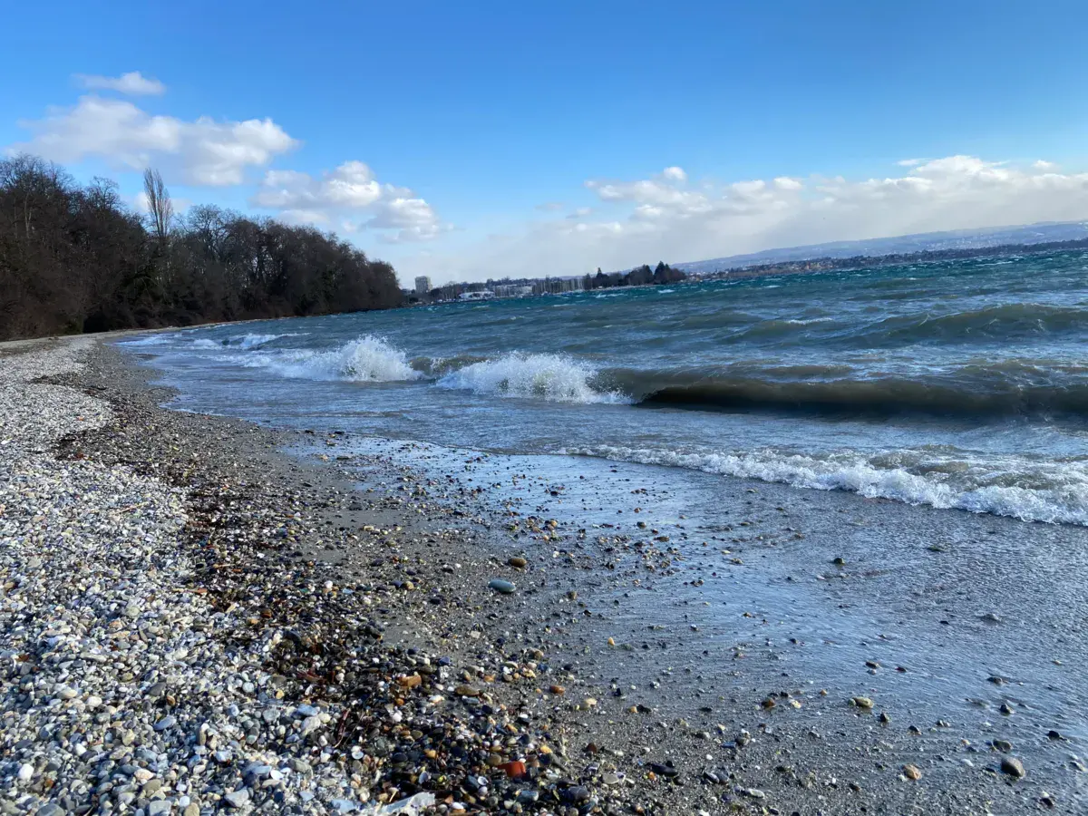 Spot de Tolochenaz - Shooting Range